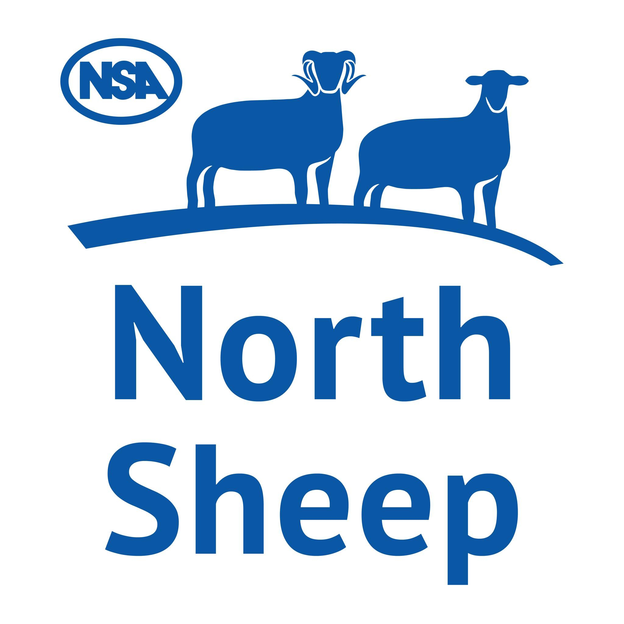 NSA North Sheep